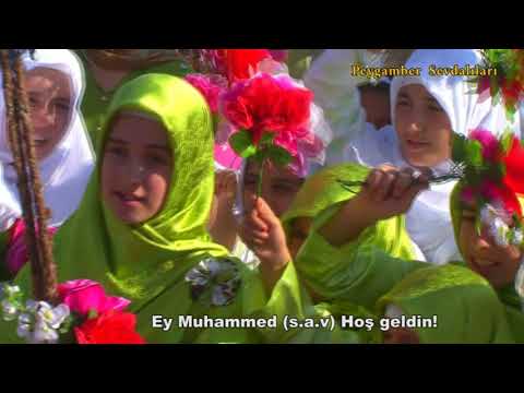 Ey Muhammed Tu Béxer Hati - Peygamber Sevdalıları [2009]