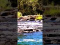 Relaxing Music with Water Sounds • Peaceful mind Yoga and Relaxation