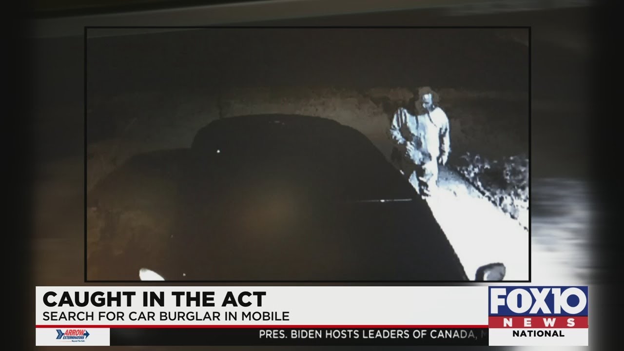 Caught in the Act: Search for car burglar in Mobile - YouTube
