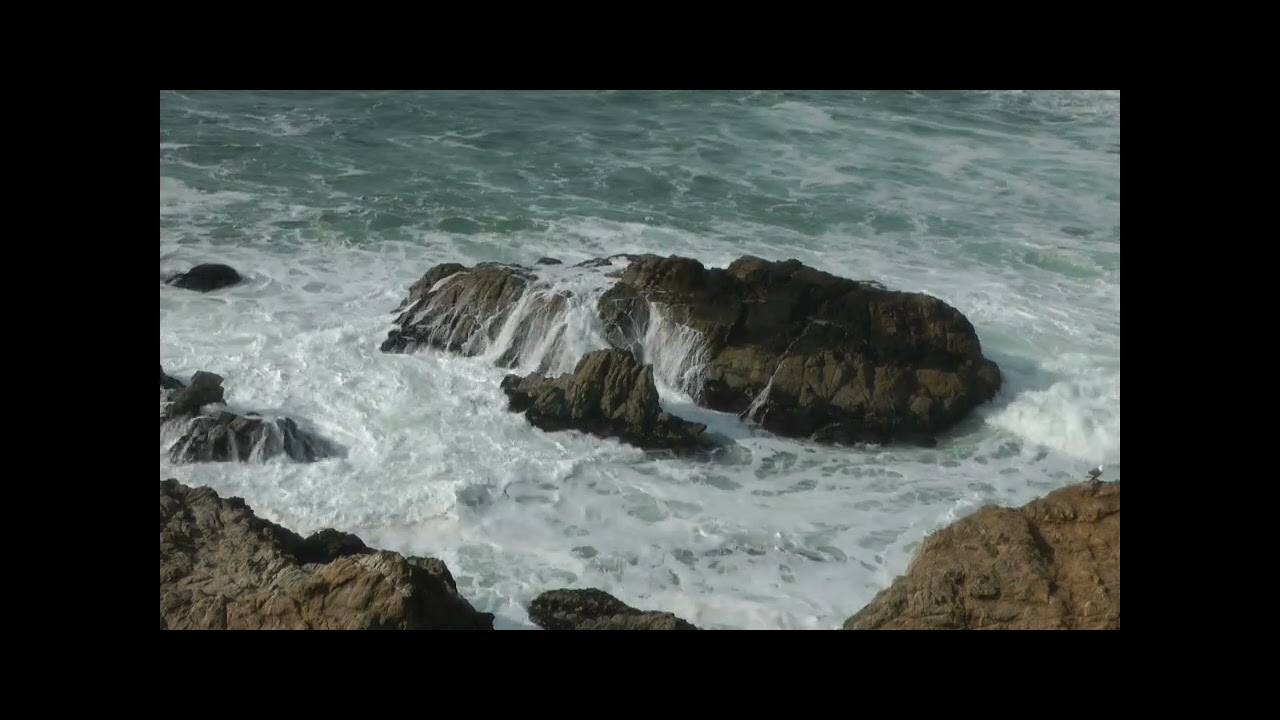 Bodega Head, Bodega Bay, CA