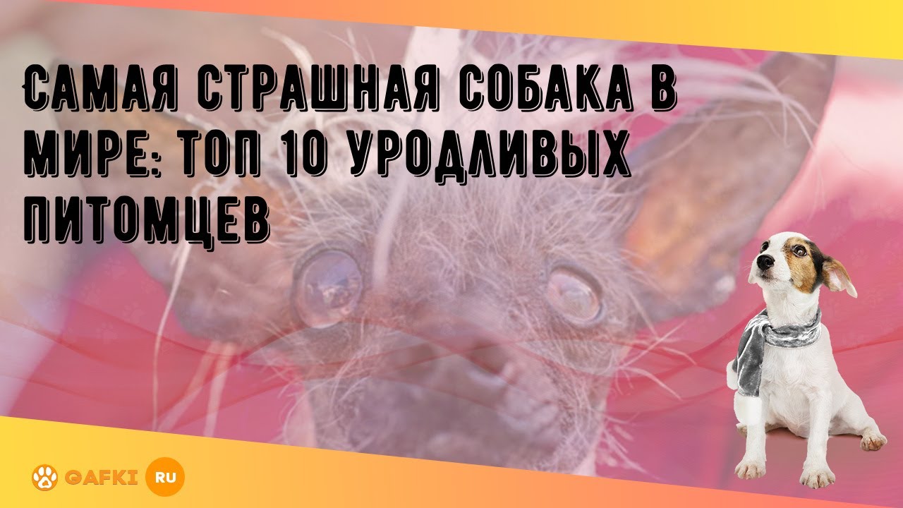 Маленькая страшная машина