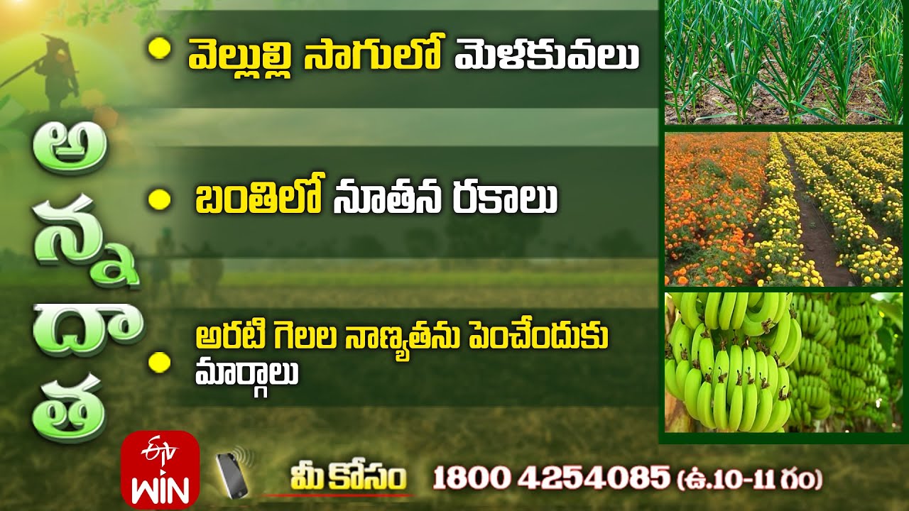 18th September 2023 Annadata Full Episode ETV Telugu 18th-september-2023-annadata-full-episode-etv-telugu