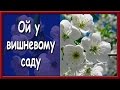 Українська народна пісня. Ой у вишневому саду