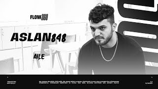 Flow360 Aile Sınıfı Aslan848