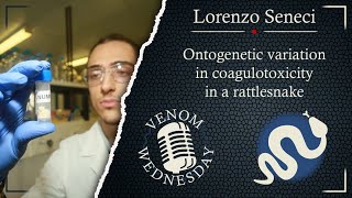 Lorenzo Seneci • Ontogenetic variation in coagulotoxicity in a rattlesnake #VenomWednesday 09