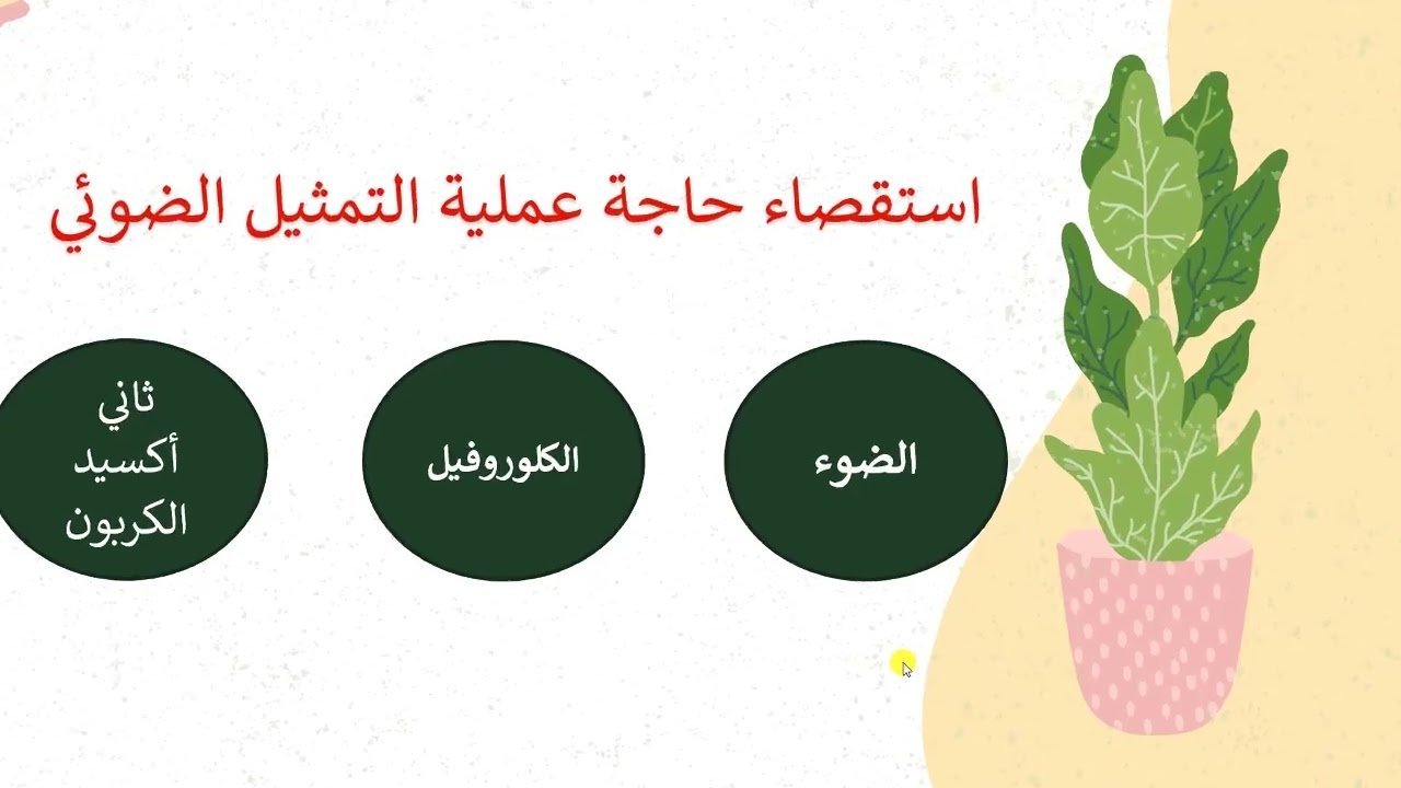 استقصاء  التمثيل الضوئي   |أحياء الصف التاسع |قناة المعلم المبدع