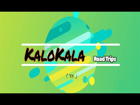 Video-thumbnail van Camping du Pylone