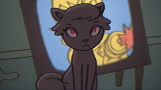 Feral Animals