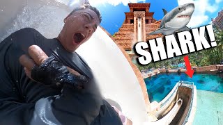 I WENT ON EVERY WATER SLIDE AT THE ATLANTIS AQUAVENTURE!!! Leap of Faith Into Shark Tank!