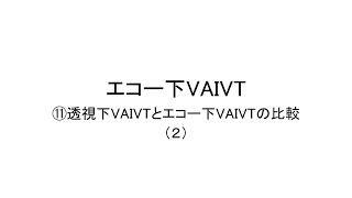エコー下VAIVT（透視下VAIVTとエコー下VAIVTの比較－２）