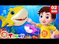 Baby shark 4k  tommy nursery rhymes  kids songs