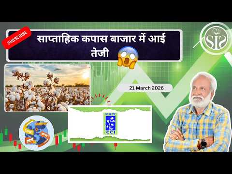 साप्ताहिक कपास बाजार में ज़बरदस्त तेजी 😱| Weekly Market Report | CCI Update #cotton #smartinfo #new