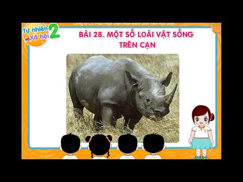 KHỐI 2 - TNXH TUẦN 27 - BÀI MỘT SỐ LOÀI VẬT SỐNG TRÊN CẠN
