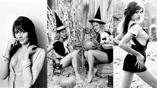 Exploring the Unseen World of Old Photos, Rare Historical Gems