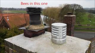 Honey Bee removal with ABM Pest Control Mansfield, Nottingham, Chesterfield