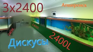 3Х2400L Для Дискусов Евгения Из Апшеронска :)