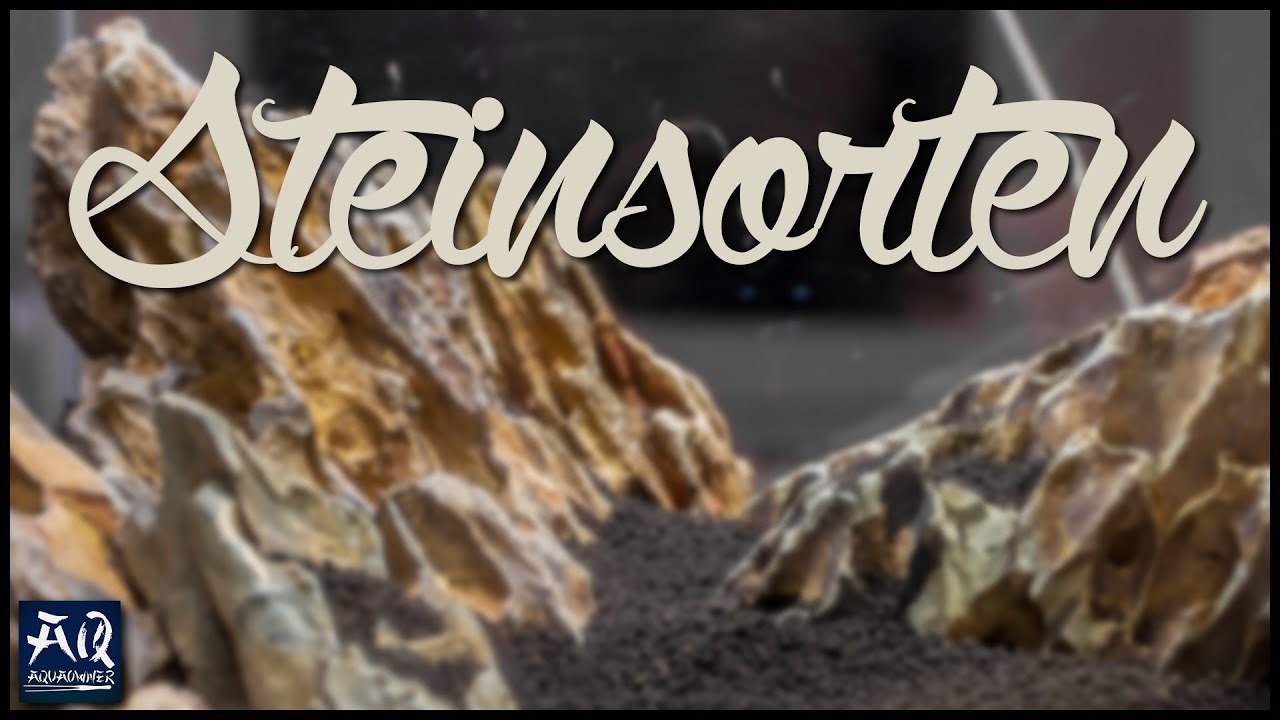 Verschiedene Steine im Aquarium | AquaOwner