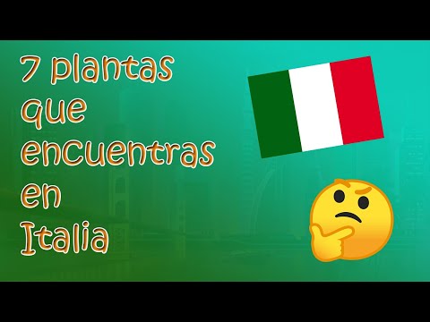 7 Plantas más especies representativas de Italia