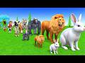 Long Slide Game With Cow Elephant Gorilla Hippopotamus Tiger 3d Animal Game Funny 3d AnimalsVideo