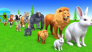 Long Slide Game With Cow Elephant Gorilla Hippopotamus Tiger 3d Animal Game Funny 3d AnimalsVideo