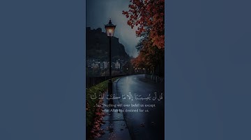 قران كريم { #تلاوة_خاشعة } بصوت #اسلام_صبحي #قرآن #الله #راحة_نفسية #اكسبلور #لايك #duet #القرآن
