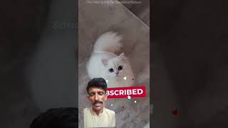 prank shorts#short videos#viral shorts