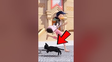 Whose cat is this?  #miraculous 