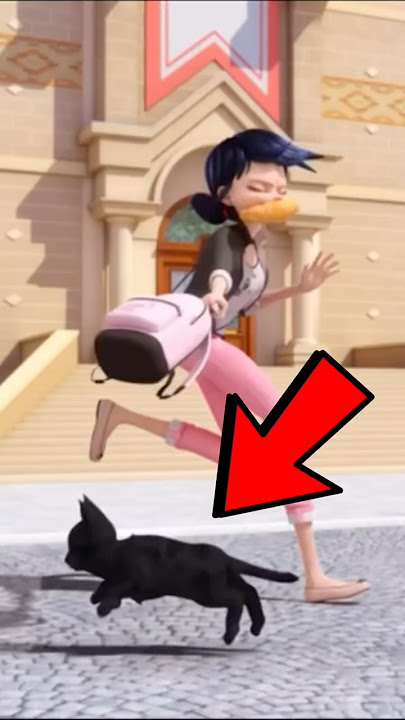 Whose cat is this?  #miraculous 