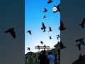 Guía para disfrutar la Semana Morazánica en El Salvador