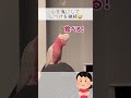 【噛み癖が治らない！】春ちゃんママに怒られ中「おしゃべりモモイロインコの春ちゃん】#shorts