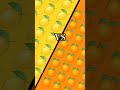 pls like and subscribe