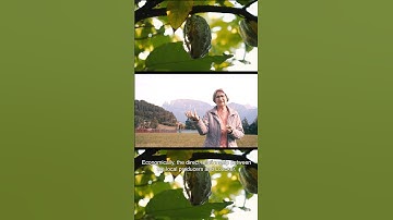 Loacker | Cocoa Sustainability Program with @fundacionmaquita &  @altromercatoPopulation Benefits