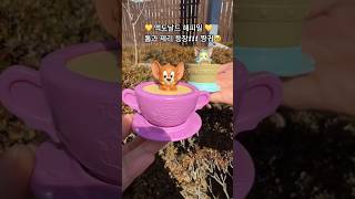 드디어 나왔습니다. 맥도날드 톰과제리 해피밀