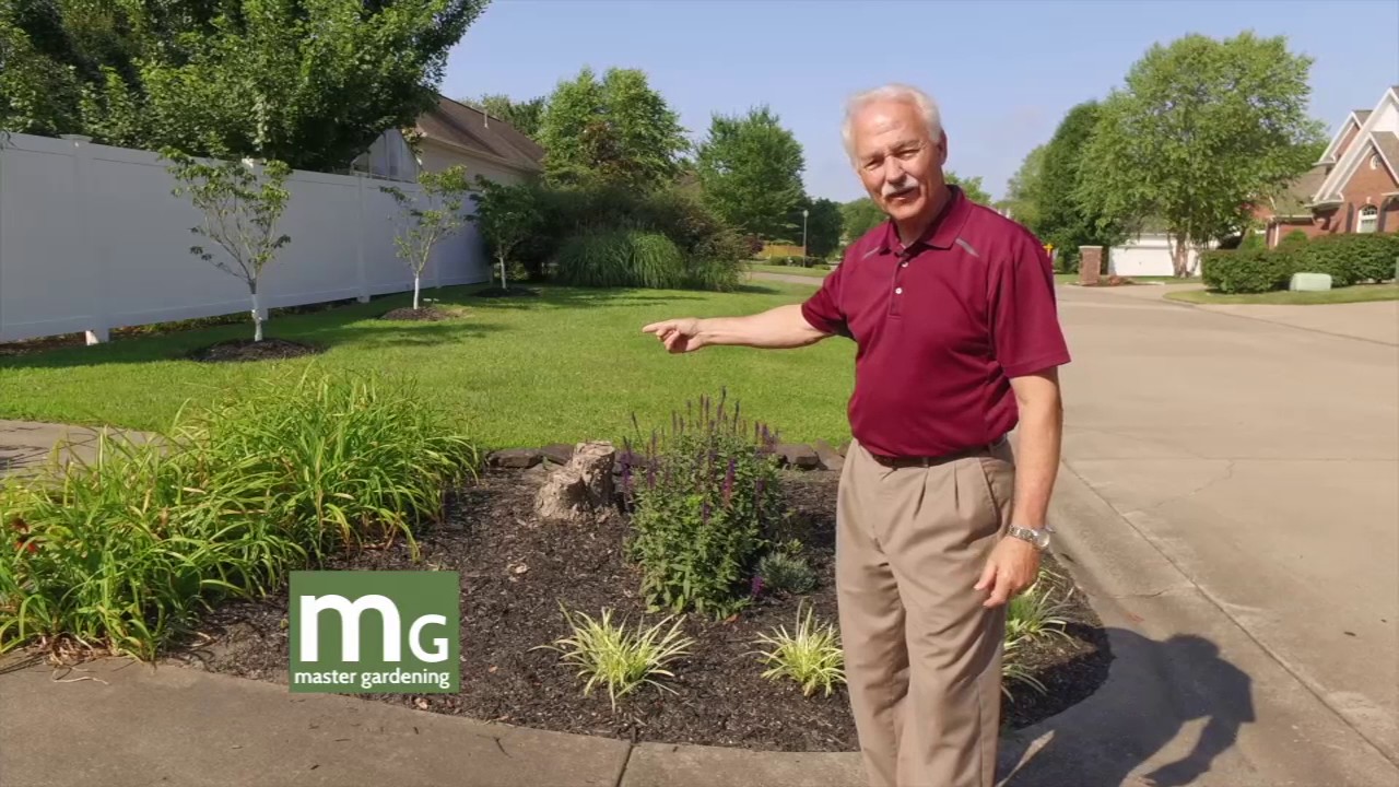 Master Gardening Bud's House YouTube