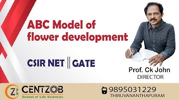 ABC Model of Flower Development - CSIR NET | GATE