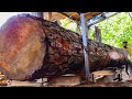 Solid long mahogany wood with beautiful texture at the sawmill