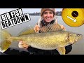 CRUSHING BIG Walleyes Almost EVERY Cast!