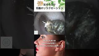 【耳掃除】前日にたまたまYouTubeを見て・・聞こえにくかったのはこのせい??