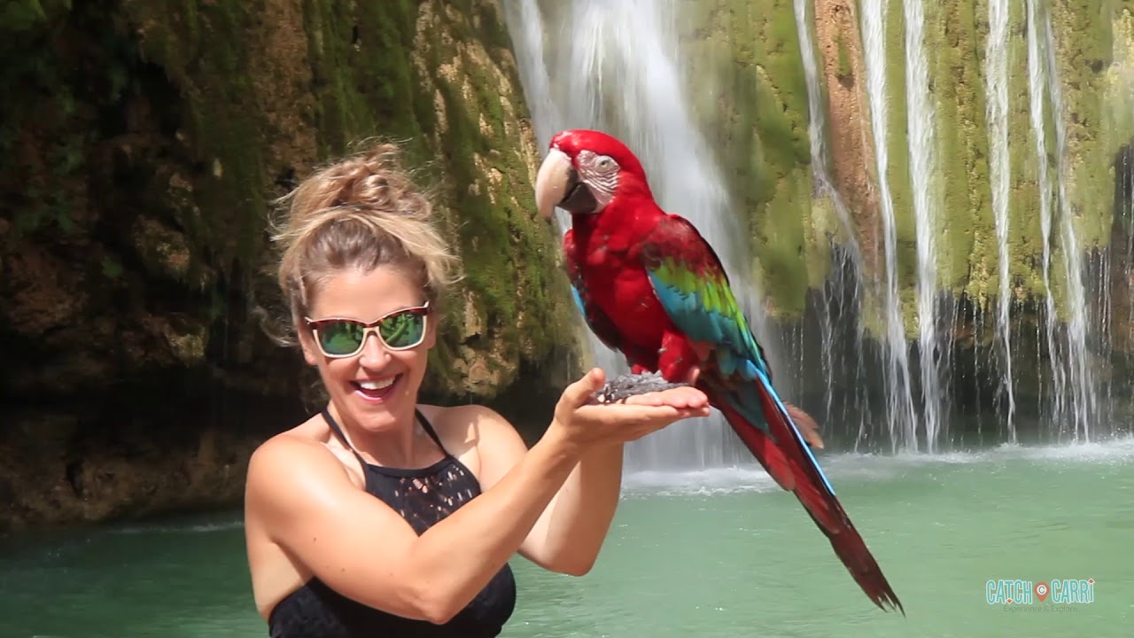 Traveling To Las Terrenas, Dominican Republic: Top Things To Do in 2020