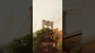 how to make your photos look like KODAK GOLD! #kodak #film #lightroompresets