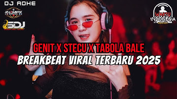 DJ BREAKBEAT VIRAL TERBARU 2025 - DJ GENIT X STECU X TABOLA BALE - DJ ADHE