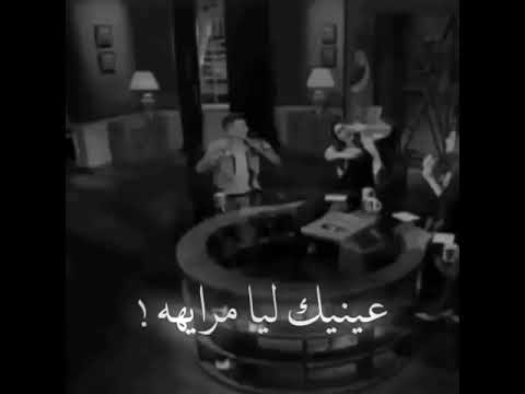 الملكة المسيطرة مقطع من أغنية بهوايا لحسن شاكوش كم لايك يستاهل