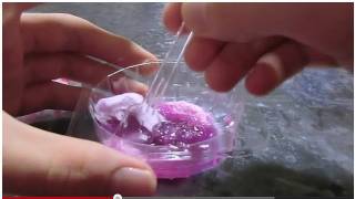 パチパチわたゼリー　pop-pop　cotton candy jelly　  PDS