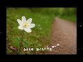 【synthesizer V2】【夢ノ結晶 ROSE】イチリンソウ(山本彩)を歌ってみた