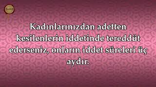 Talak Suresi   Mishary Rashid al Afasy