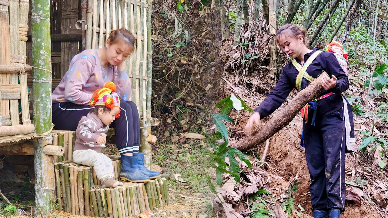 Single mother and child build a staircase - Go to the forest to dig ...