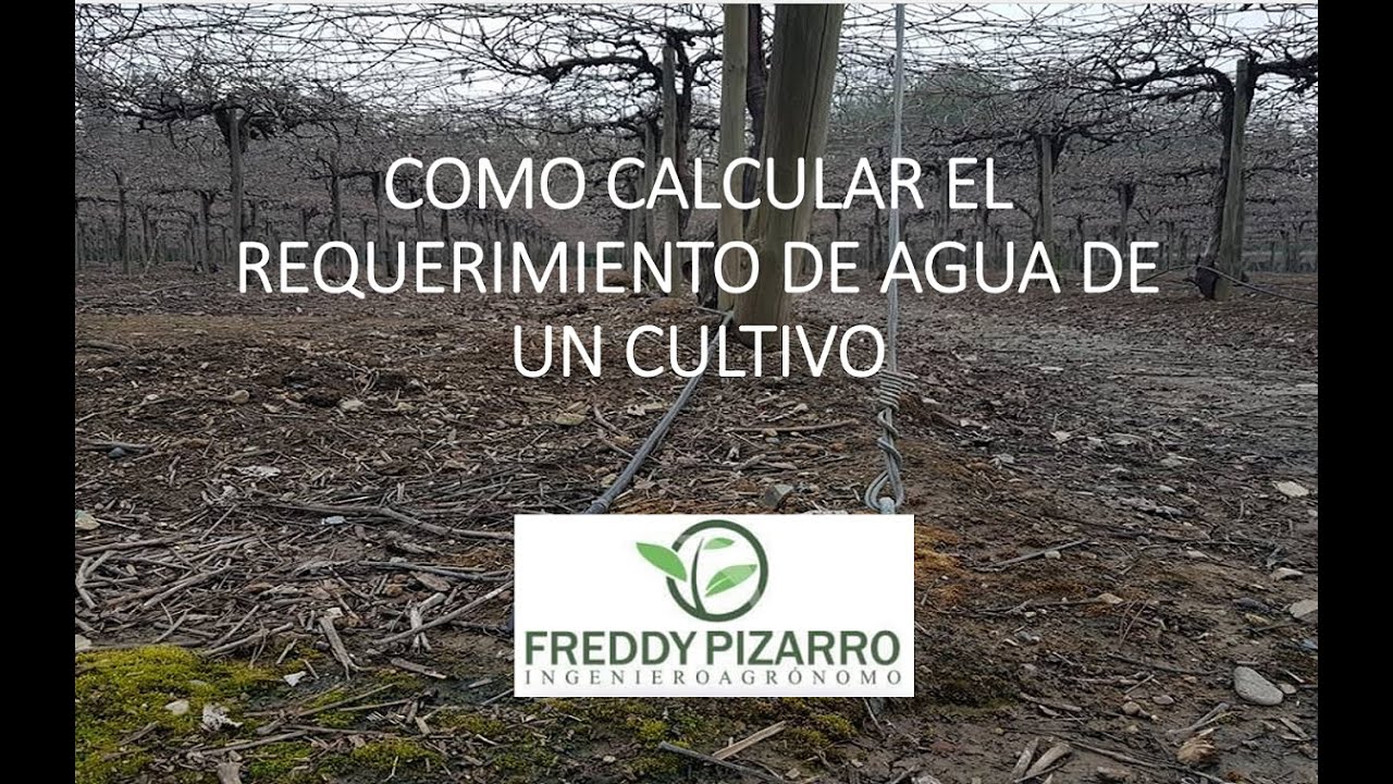 COMO CALCULAR EL REQUERIMIENTO DE AGUA