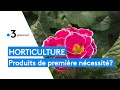 Horticulture  les fleurs produits de premire ncessit