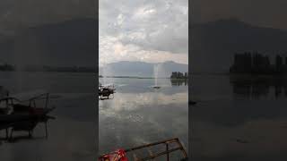 Dal Lake dallake dallakesrinagar shikara fountains chinar