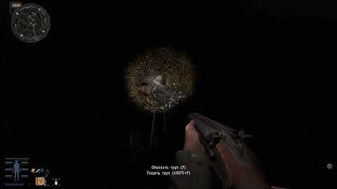 Последний рассвет: В поисках разведчика STALKER ANOMALY